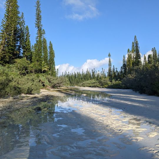 Rivière de sable d'Oro