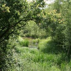 Naturschutzgebiet Wüster Forst bei Rüsselsheim