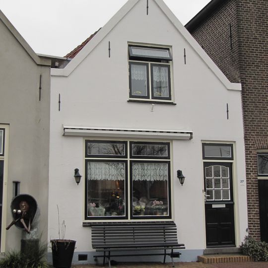 Vingerling 37, Middelharnis