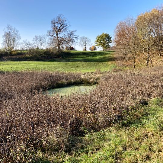 Vulkanschlot Eulenbrunnen