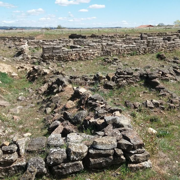 Collection Image