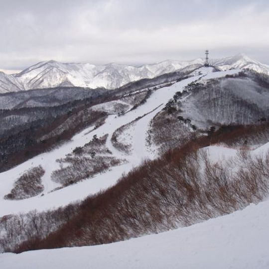 若菜高原滑雪場