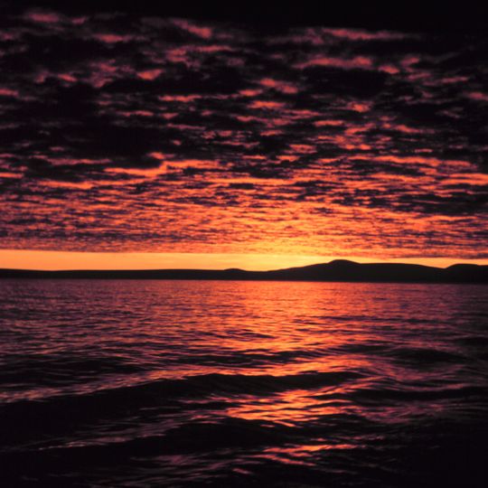 Bering Sea