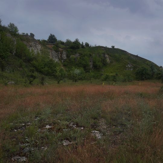 Розріз скальської серії силура