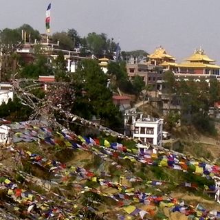 Thrangu Tashi Yangtse Monastery, Nepal