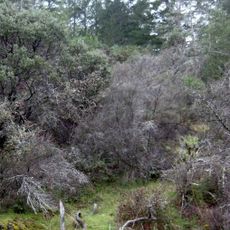 Bothe-Napa Valley State Park