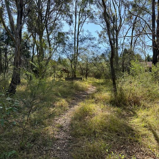 Abbie May Bush Reserve