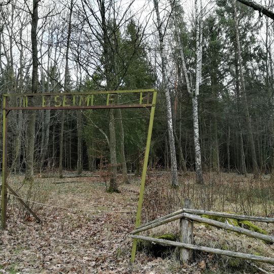 Cmentarz ewangelicki w Osiniaku-Piotrowie