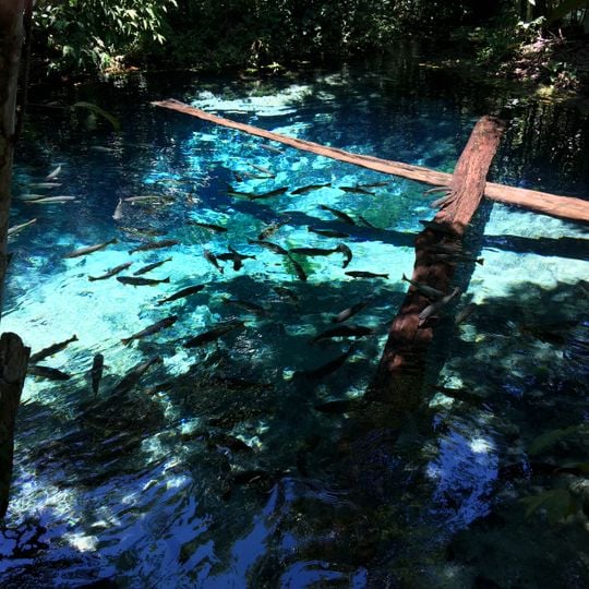 Parque Estadual Gruta da Lagoa Azul