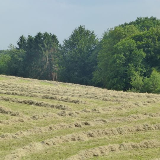 LSG-Bergische Hochflaeche um Kuerten, suedlich Biesfeld