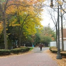 Alewife Linear Park