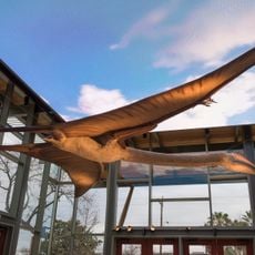 Witte Museum