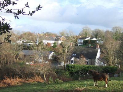 Immagine alternativa