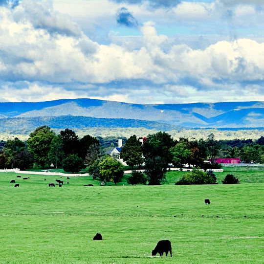 Cedar Creek and Belle Grove National Historical Park