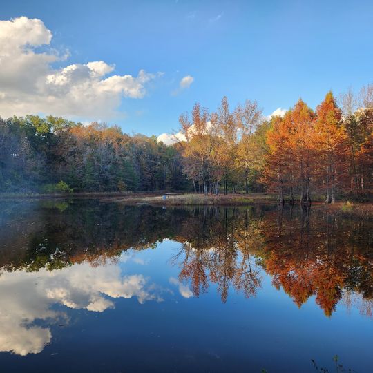 Lake Bob Sandlin State Park