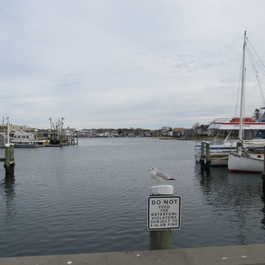 Hyannis Harbor