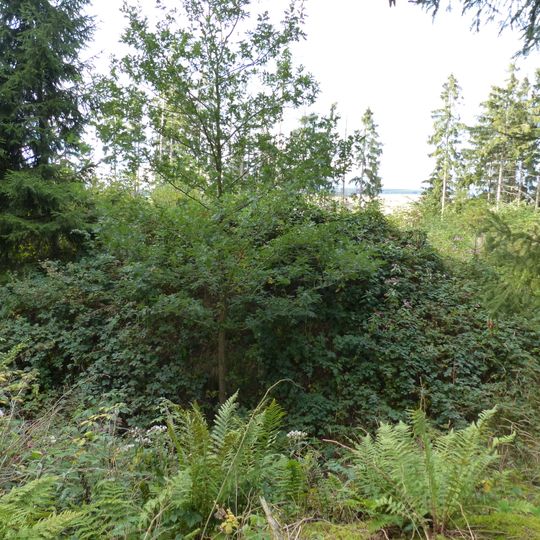 Burgstall Blankeneck