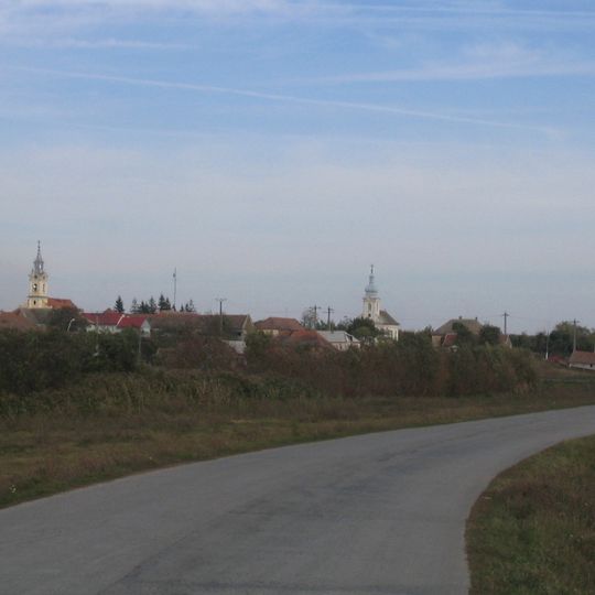 Mlaștinile Satchinez