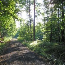 Naturwaldreservat Stachel