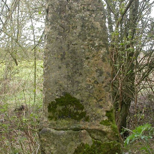 Barford Down milestone