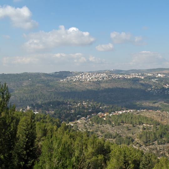 Jerusalem Forest