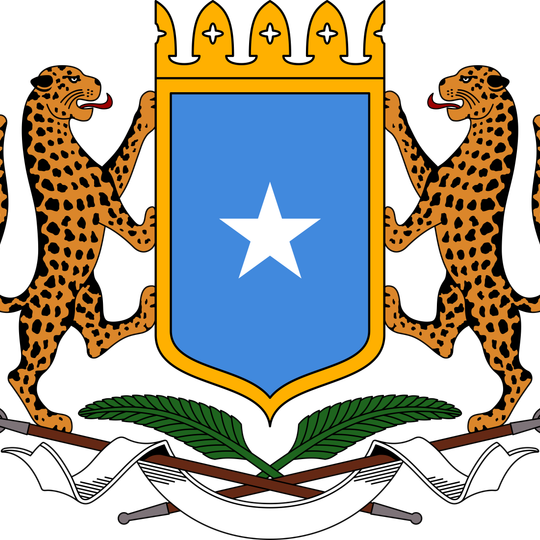 Parlamento Federal de Transición