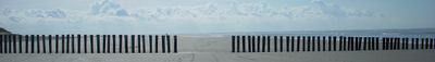 Panoramic View 0