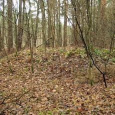 Pučkalaukio pilkapynas