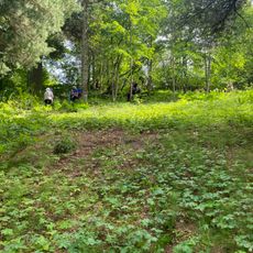 Усадьба «Минкино» («Каменка») (Каменка)