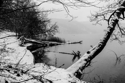 Winter 5