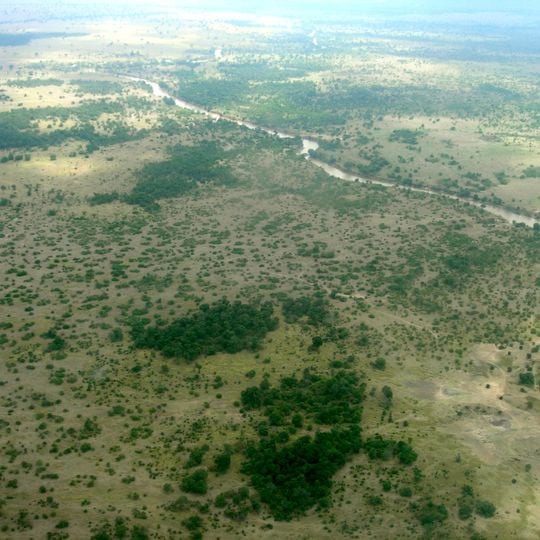 Masai Mara