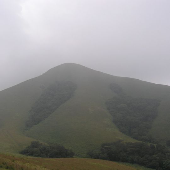 Brahmagiri , Karnataka