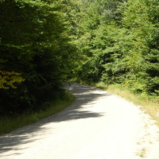 Moose River Plains Wild Forest