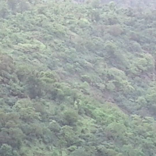 South Gujarat