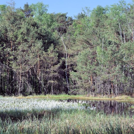 Bagno Przecławskie Nature Reserve