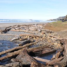Beverly Beach State Park