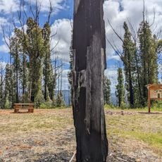 Stringers Knob Fire Spotting Tower