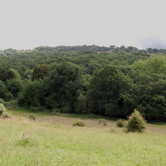 St Helen's Wood