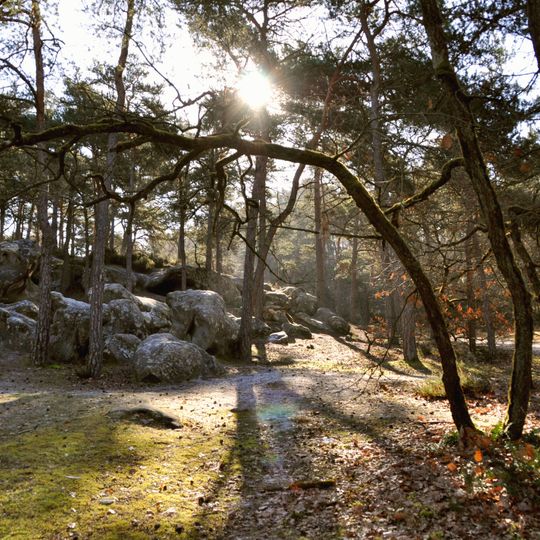 Parco naturale regionale del Gâtinais francese