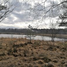 NSG Luentener Fischteiche