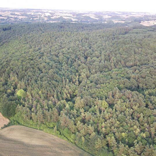 Rezerwat przyrody Złota Góra