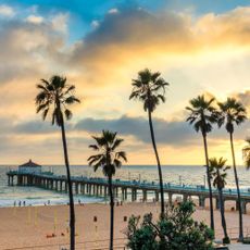 Venice Beach