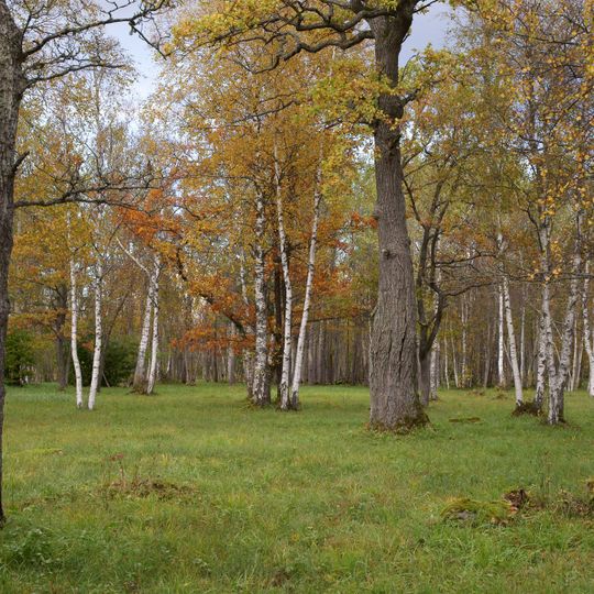 Laelatu wooded meadow