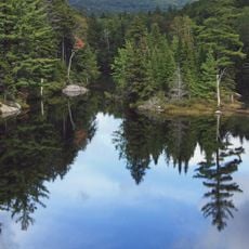 Green Mountain National Forest