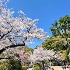 Satsukiyama-park