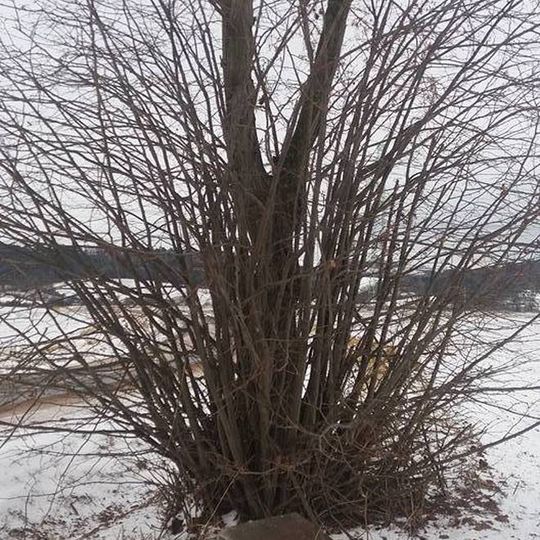 Kříž u Stachova při silnici na Soběchleby