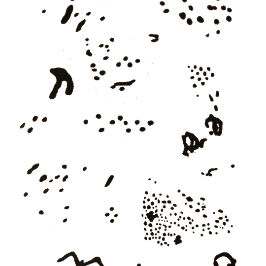 Писаница «Старая Брянь»