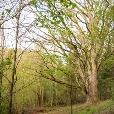 Riežupe Nature Park
