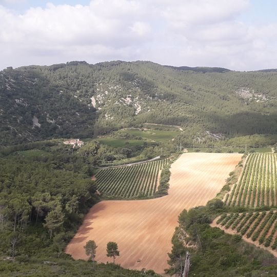 Turó de la Picarola