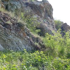 Городище (урочище Соляной Брод)